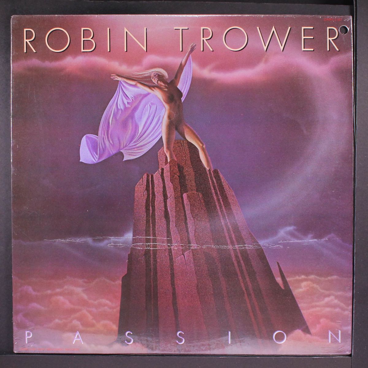 passion by ROBIN TROWER