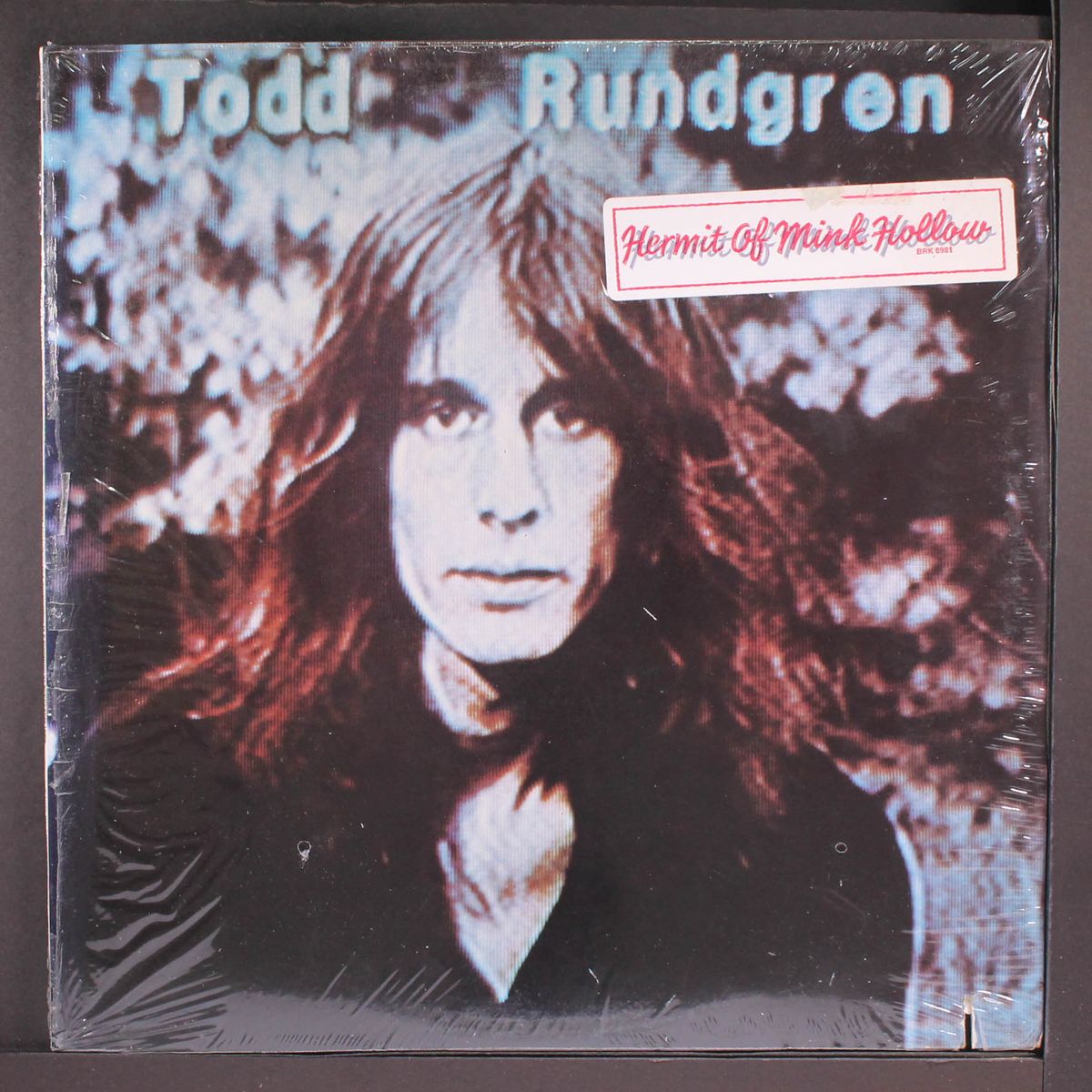 hermit of mink hollow by TODD RUNDGREN