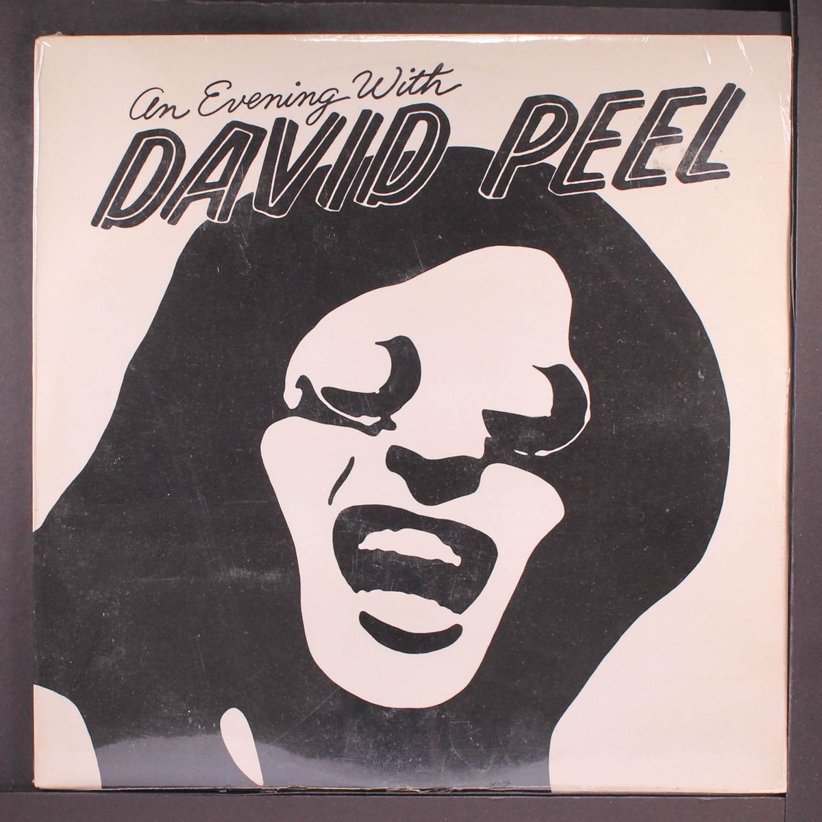 an evening with by DAVID PEEL