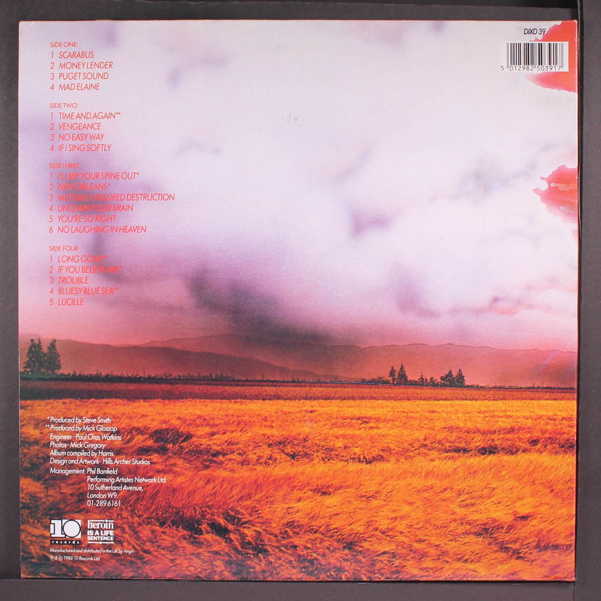 what i did on my vacation by IAN GILLAN