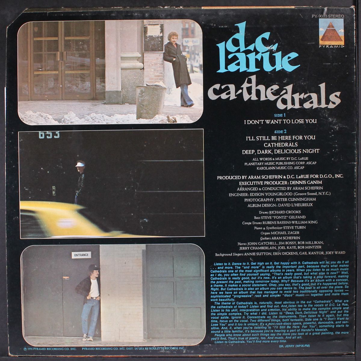 cathedrals by D.C. LARUE