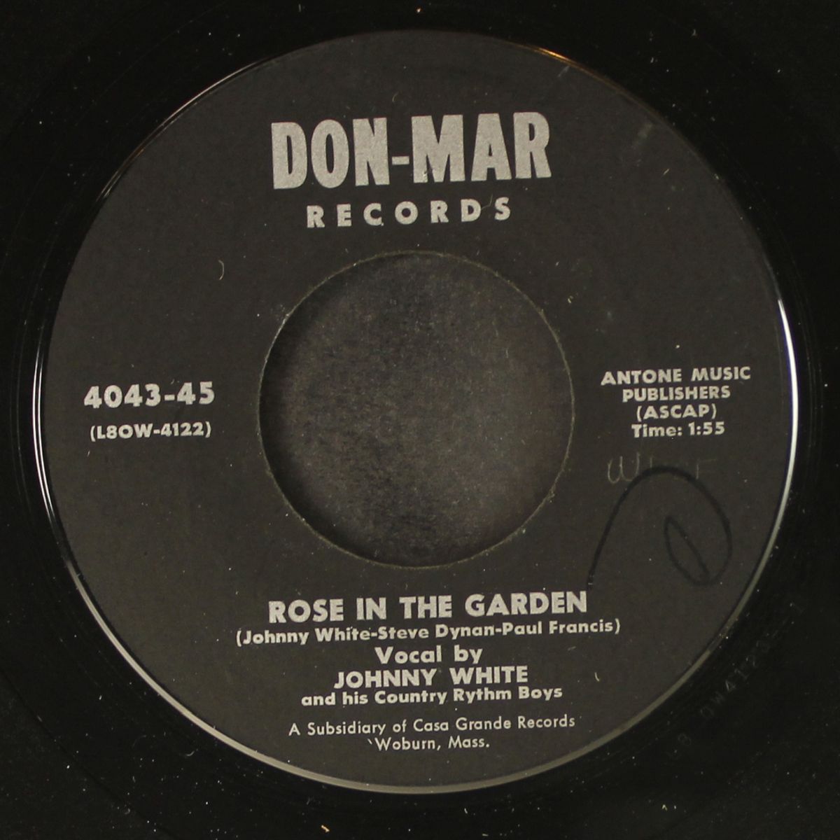 rose in the garden / crying roses by JOHNNY WHITE