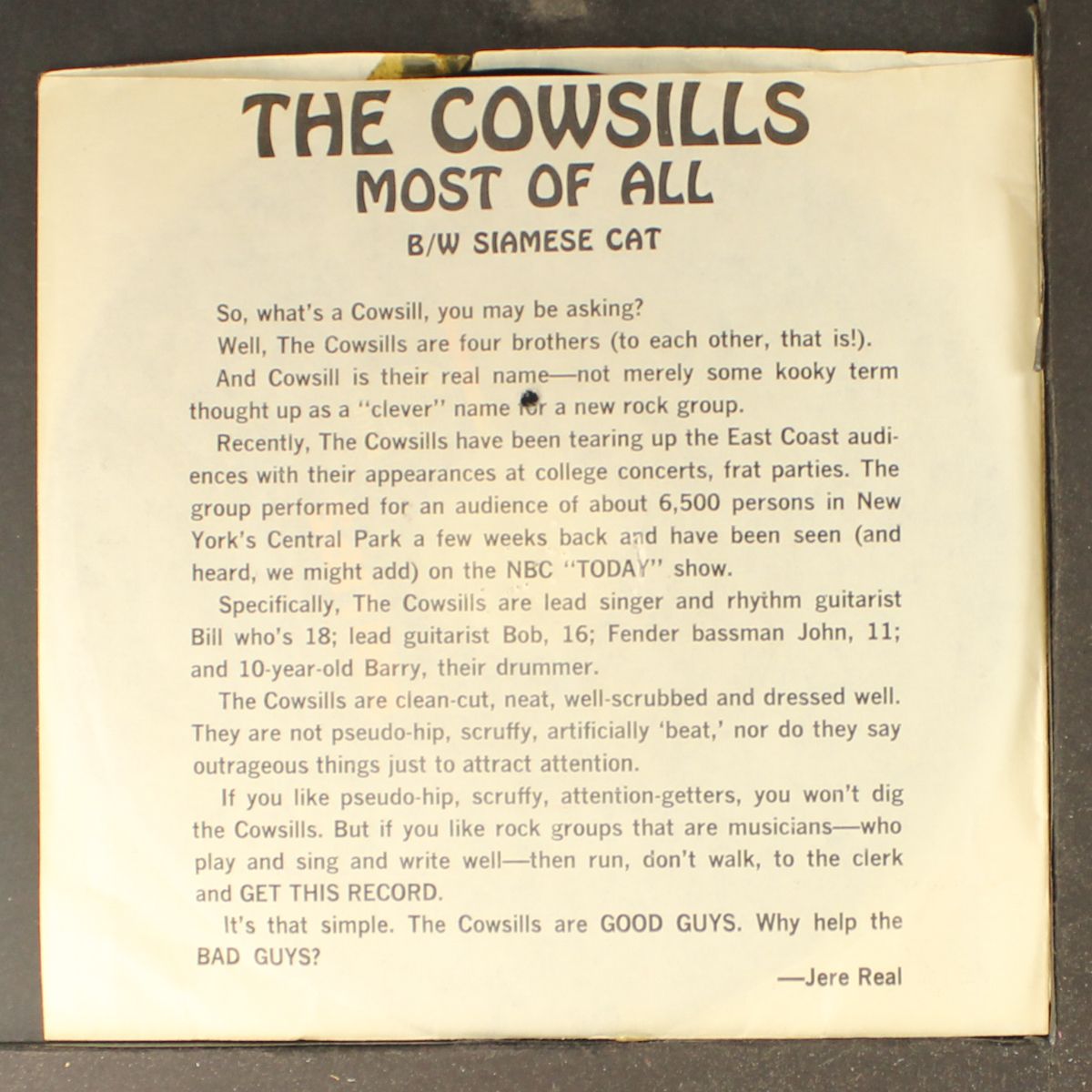 most of all / siamese cat by COWSILLS