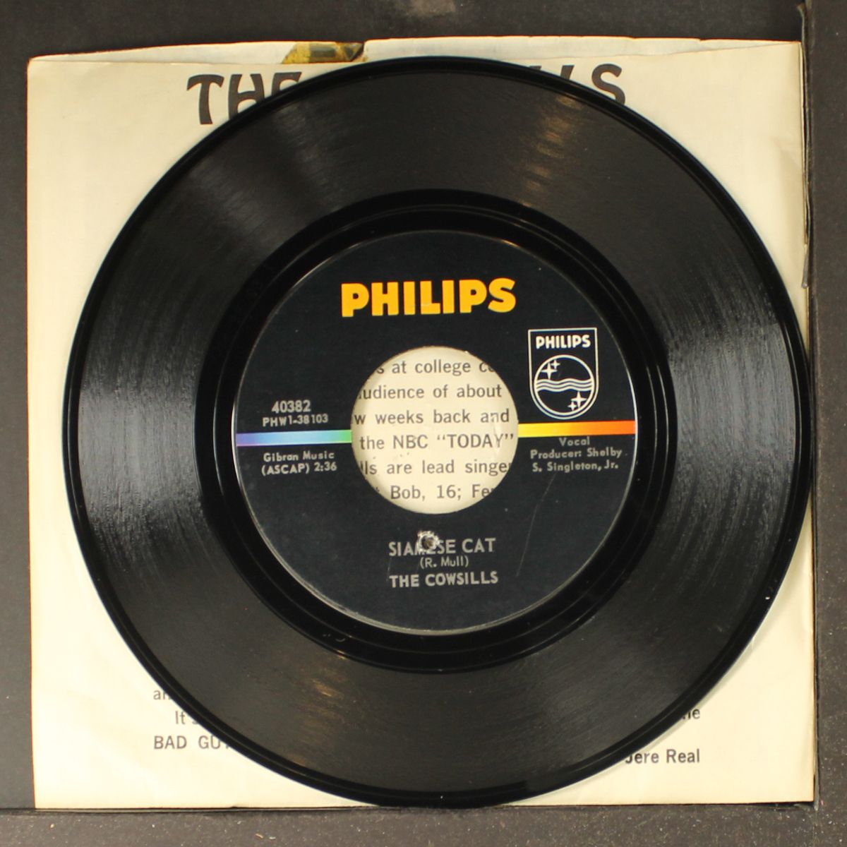 most of all / siamese cat by COWSILLS