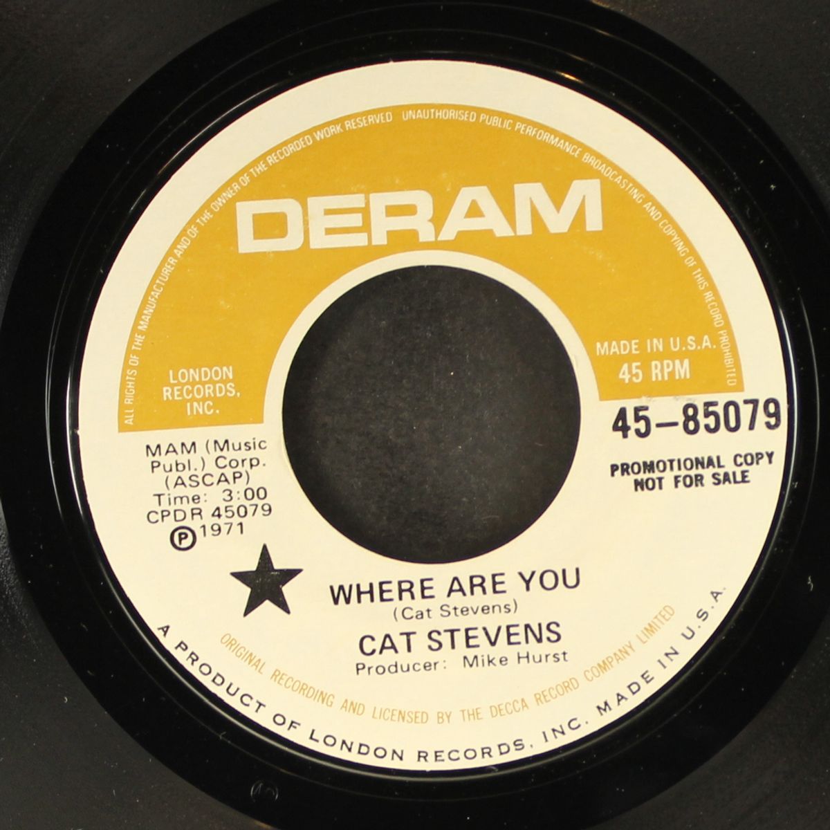 kitty / where are you by CAT STEVENS