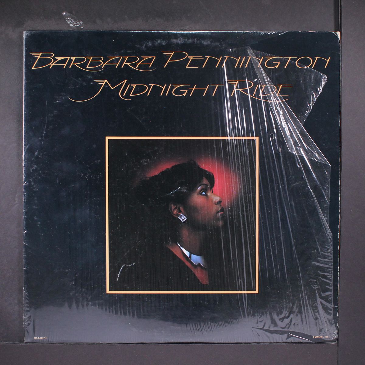 midnight ride by BARBARA PENNINGTON