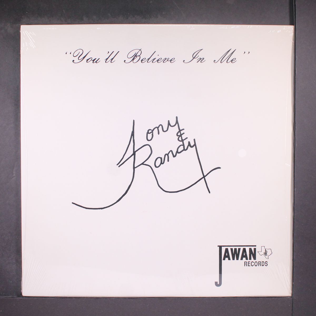 you'll believe in me / (long version) by TONY & RANDY