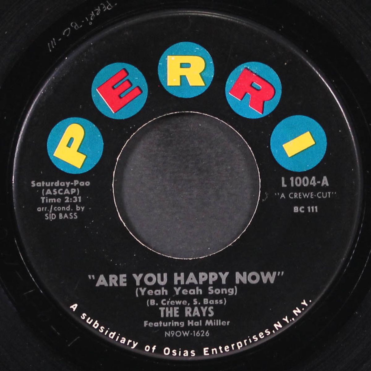 are you happy now / bright brown eyes by RAYS