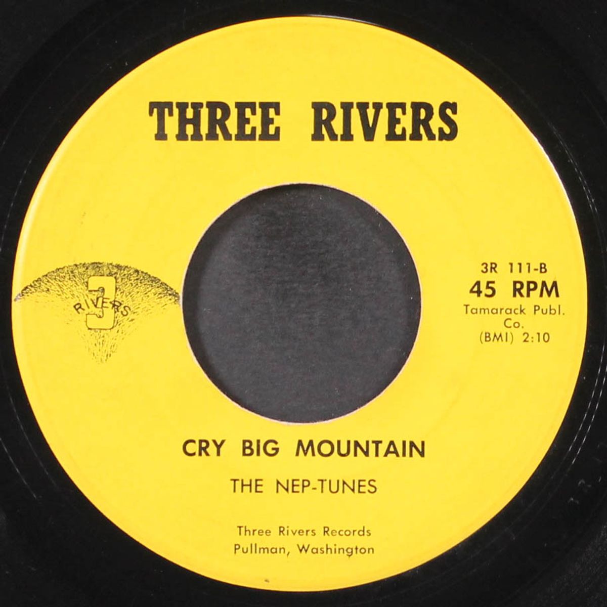 don't condemn me / cry big mountain by NEP-TUNES