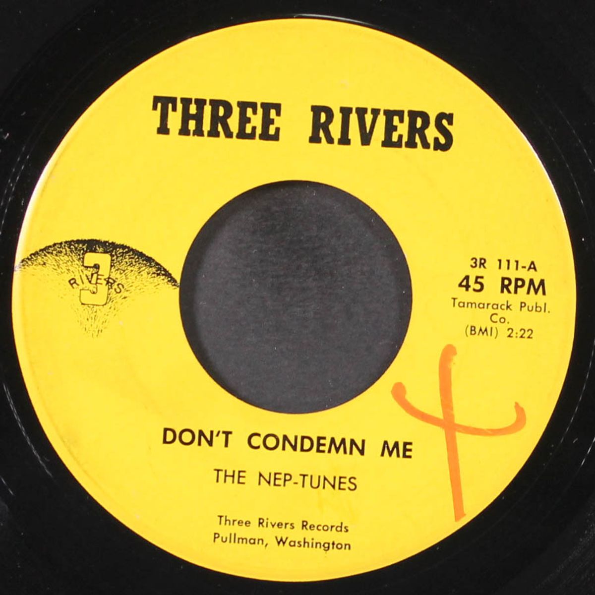 don't condemn me / cry big mountain by NEP-TUNES