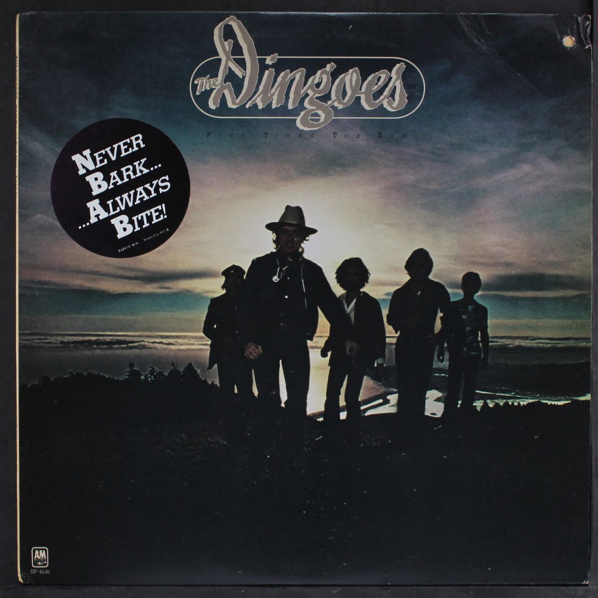 five times the sun by DINGOES