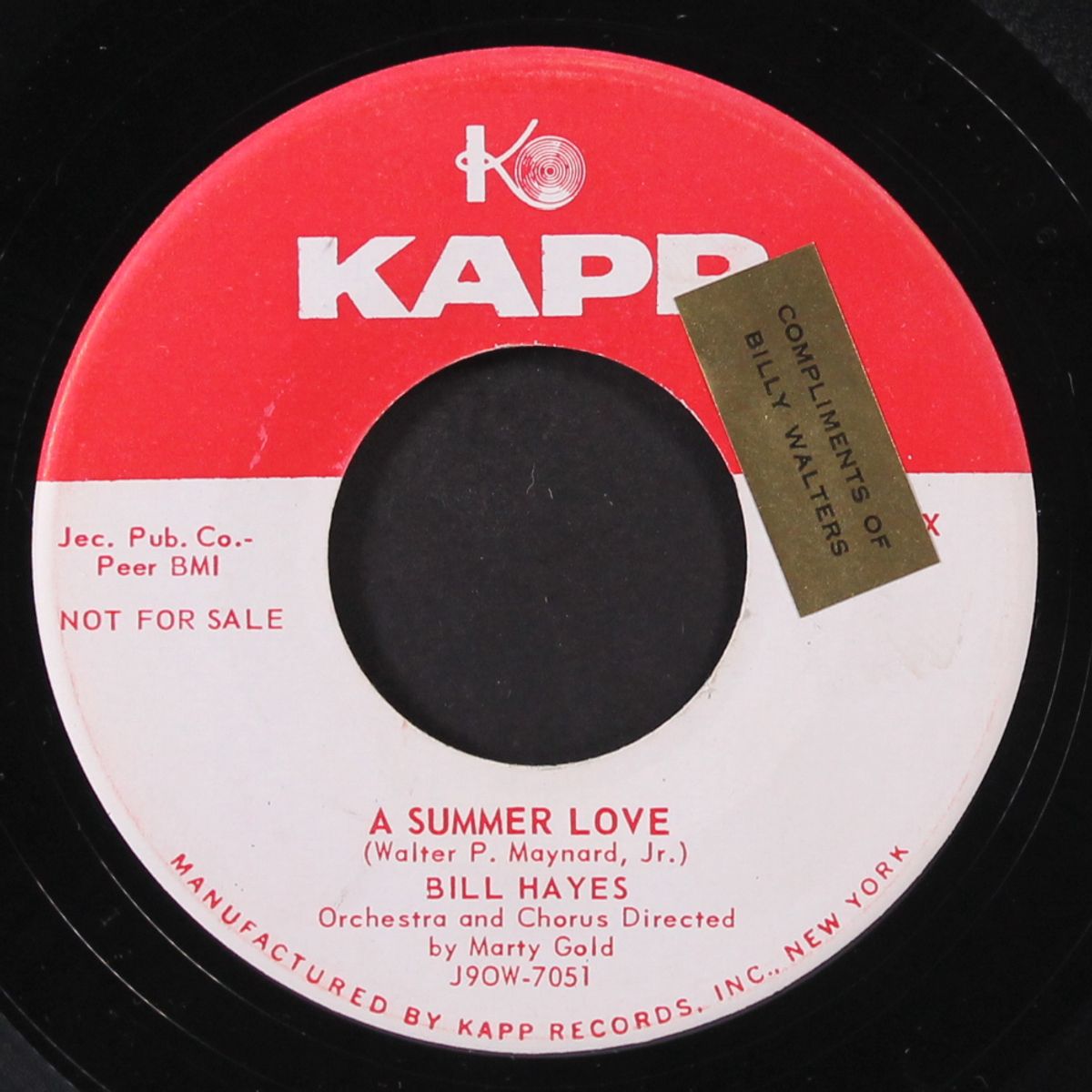 a summer love / he'll take you as you are by BILL HAYES