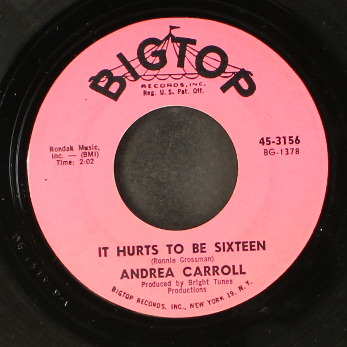 it hurts to be sixteen / why am i so shy by ANDREA CARROLL