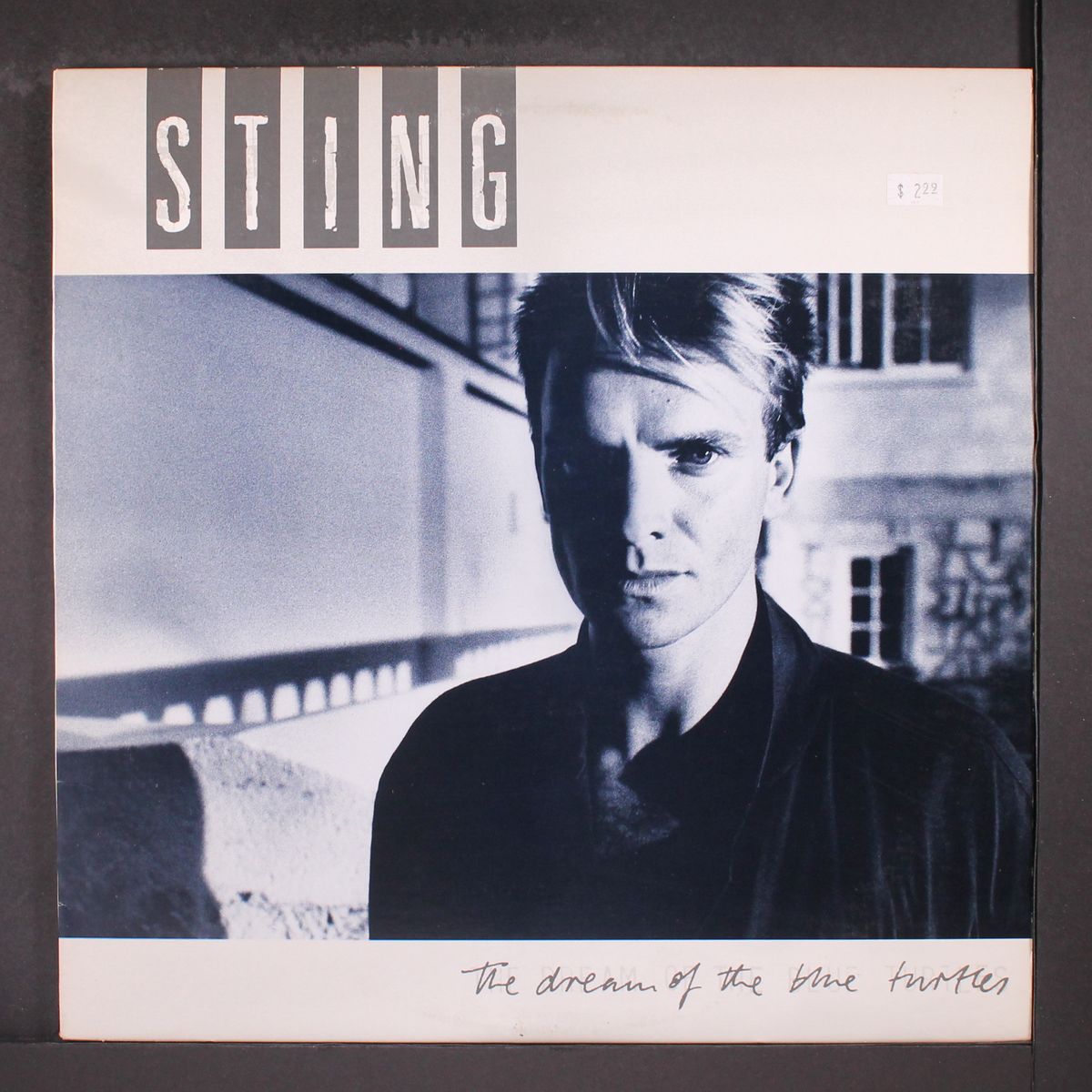 the dream of the blue turtles by STING