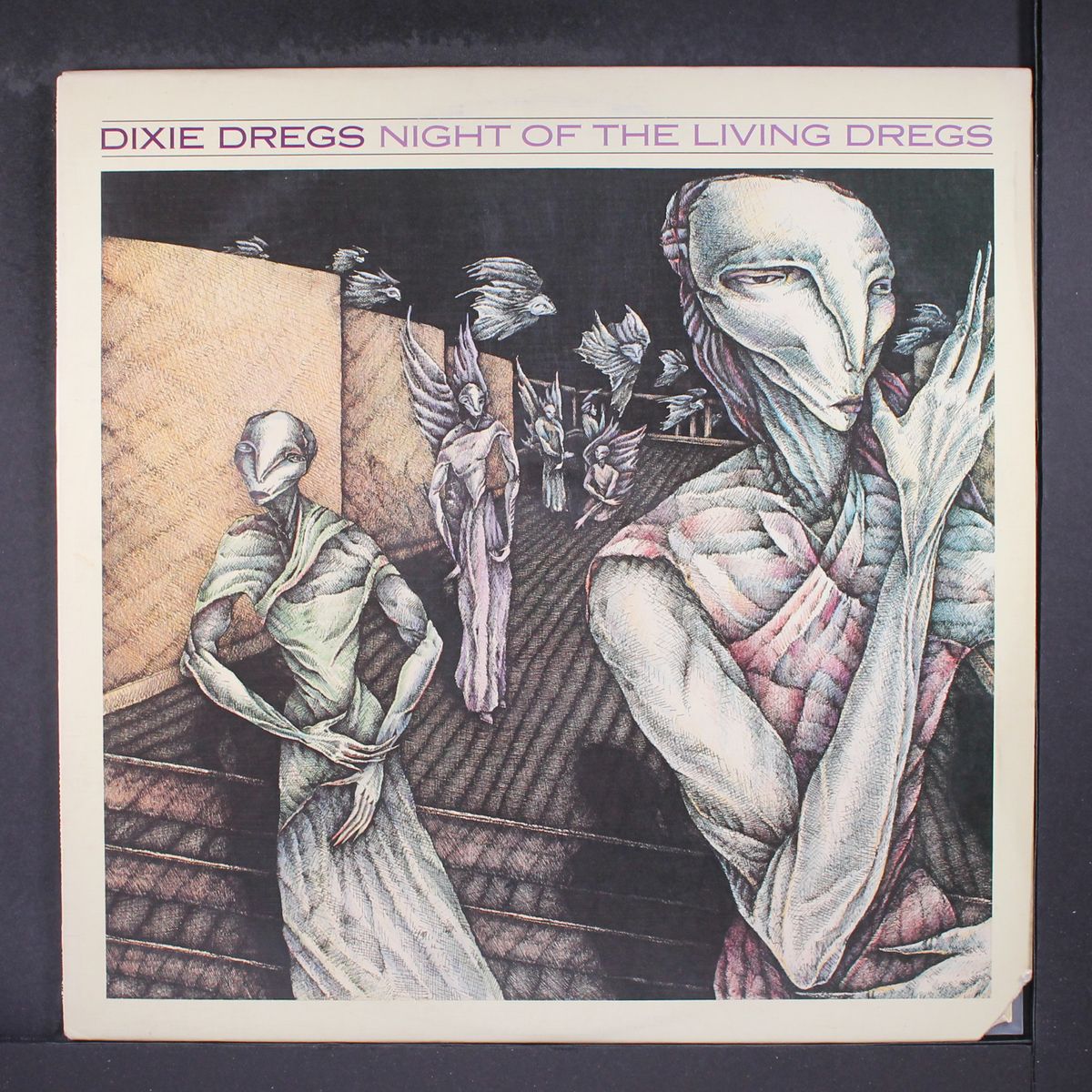 night of the living dregs by DIXIE DREGS