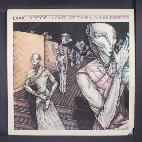 DIXIE DREGS