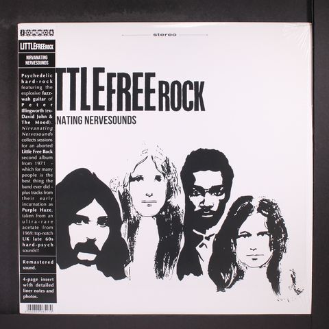 LITTLE FREE ROCK