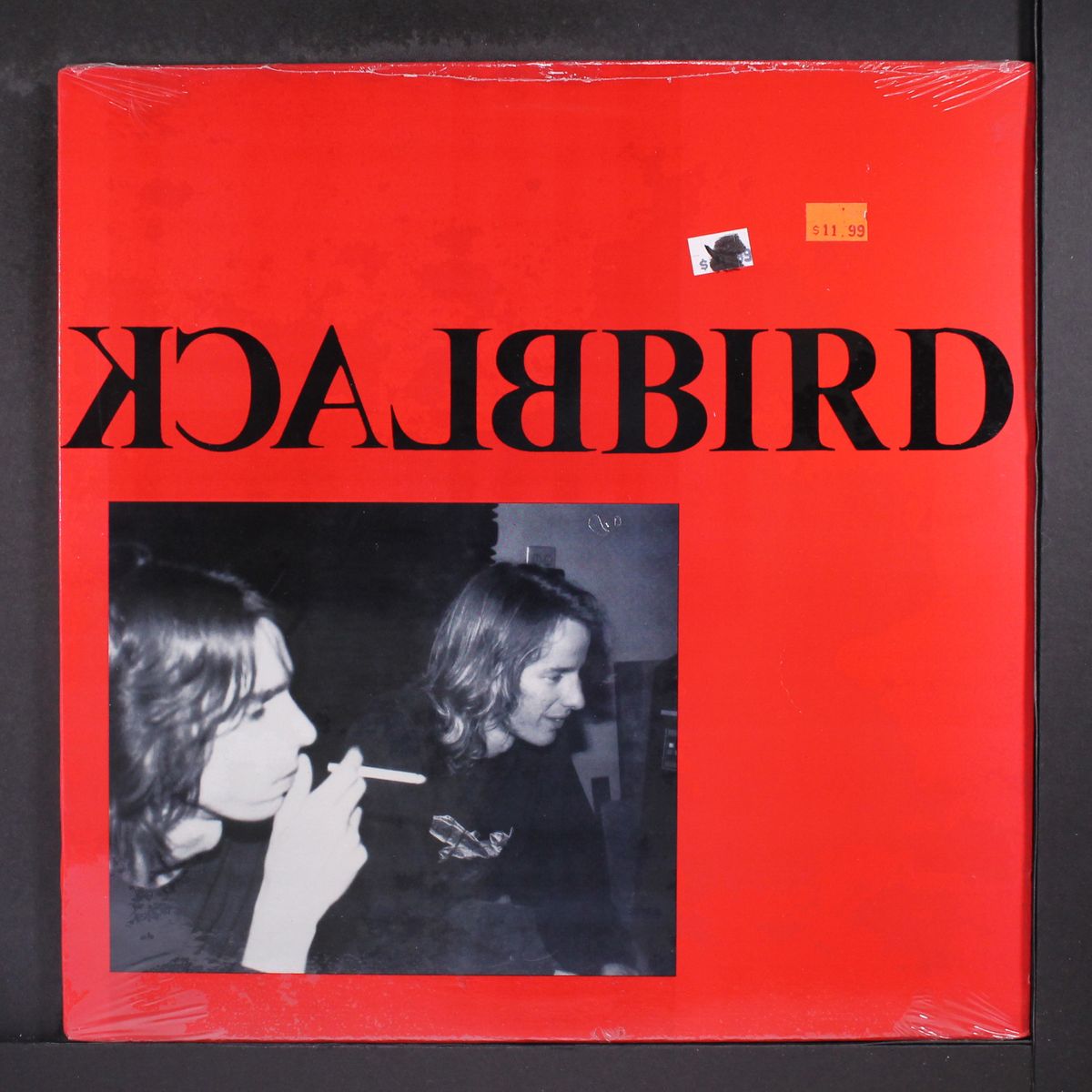 blackbird by BLACKBIRD