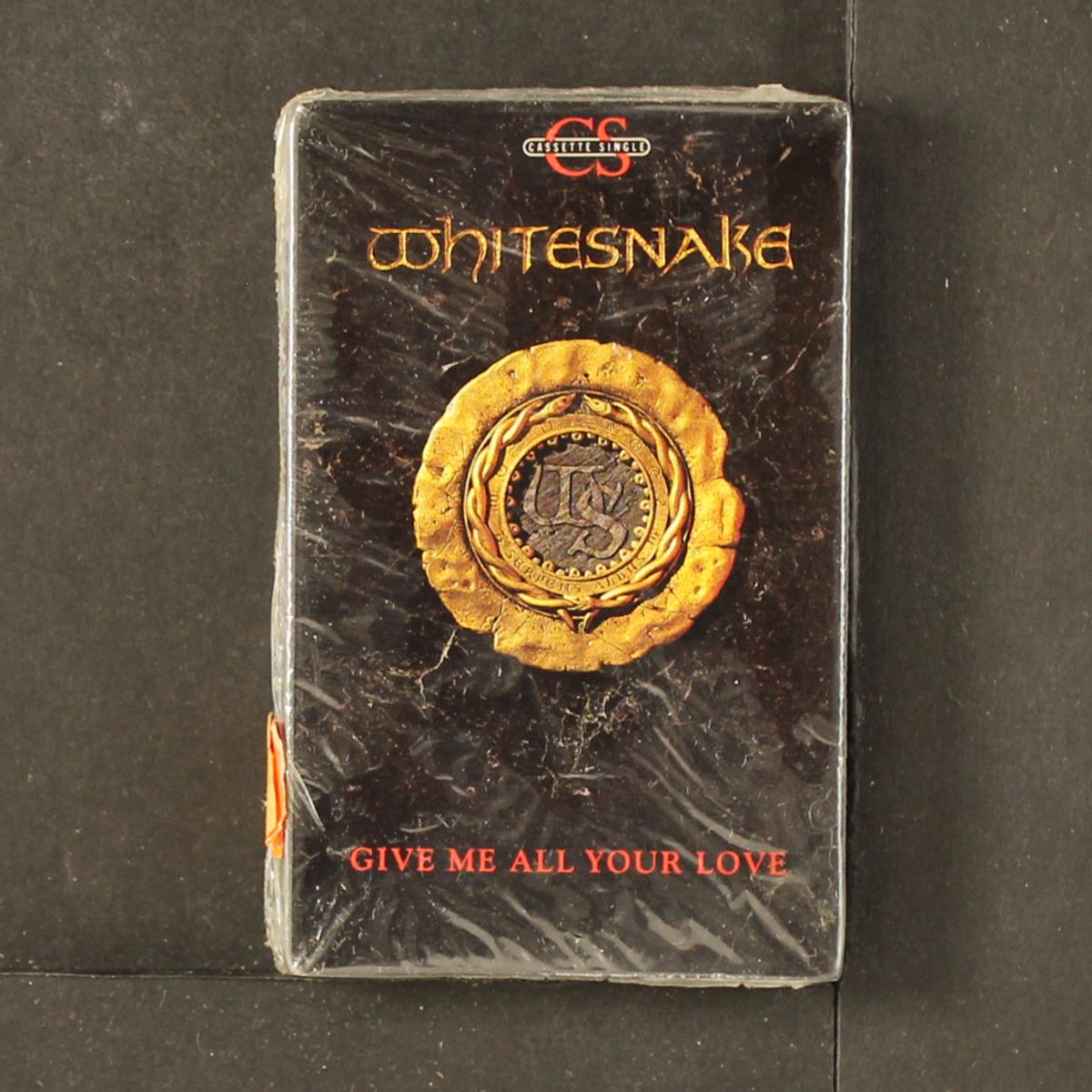 give me all your love by WHITESNAKE