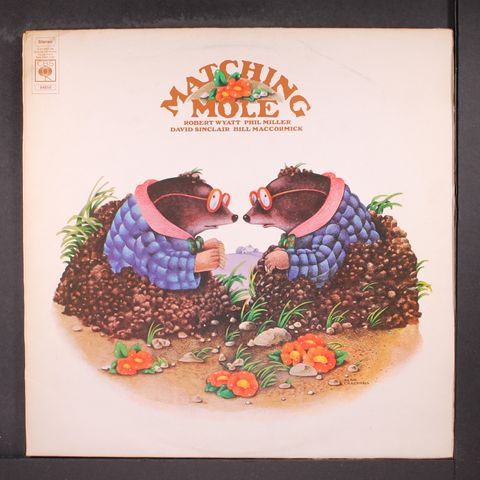 MATCHING MOLE