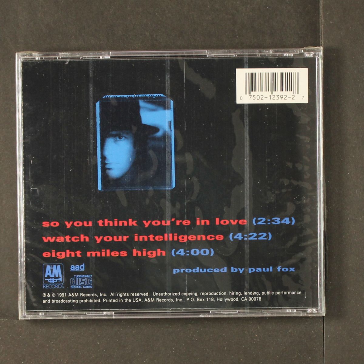 so you think you're in love by ROBYN HITCHCOCK & EGYPTIANS