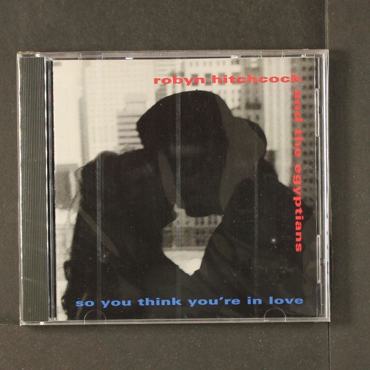 so you think you're in love by ROBYN HITCHCOCK & EGYPTIANS