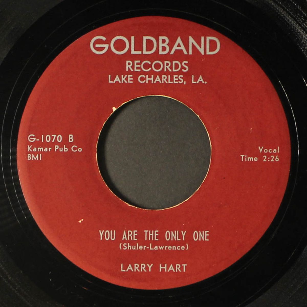 i'm just a mender / you are the only one by LARRY HART
