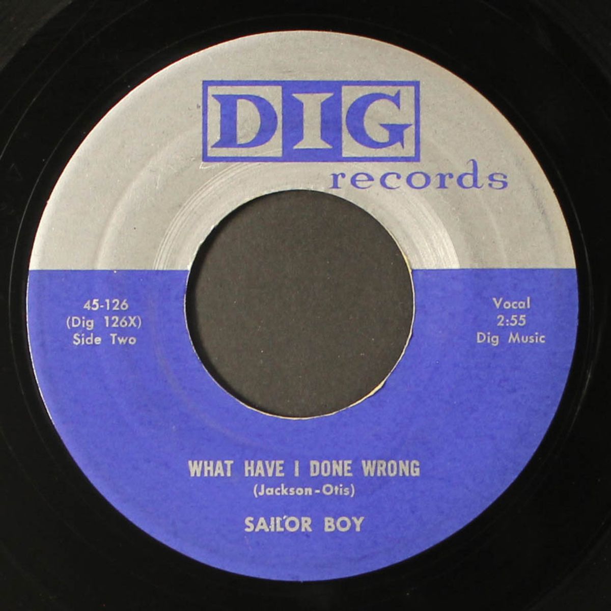 what have i done wrong by SAILOR BOY