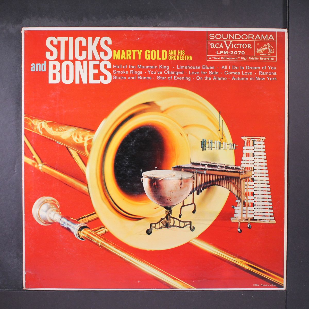 sticks and bones by MARTY GOLD