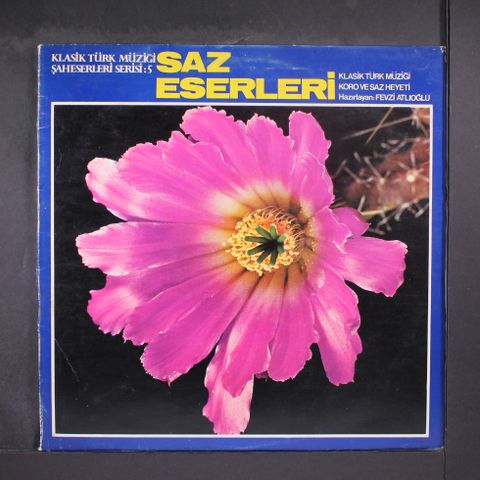 FEVZI ATLIOGLU