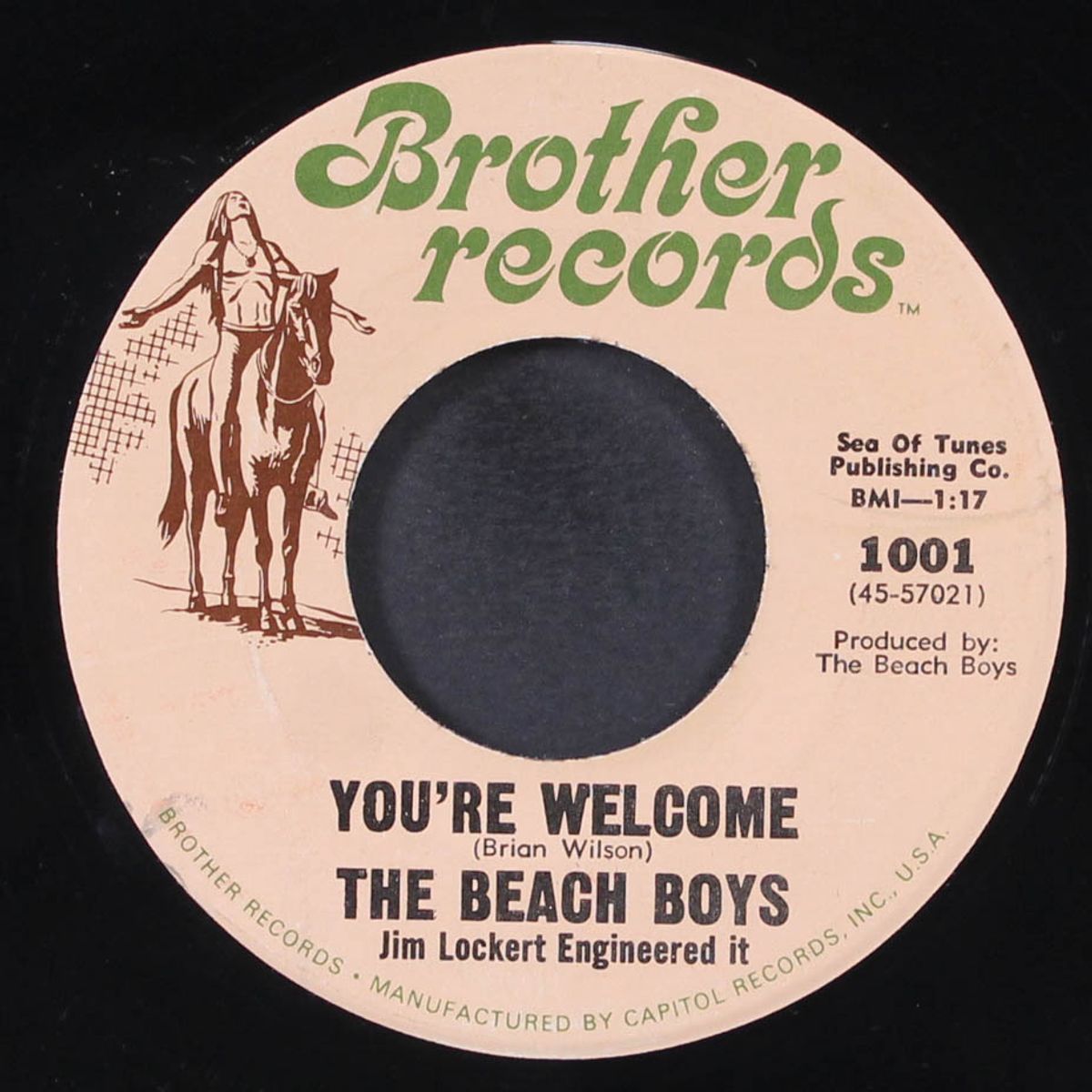 heroes and villains / you're welcome by BEACH BOYS