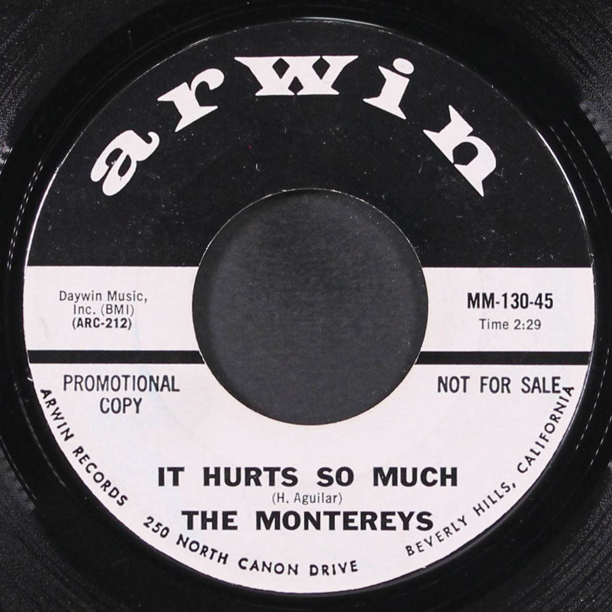 it hurts so much / goodbye my love by MONTEREYS