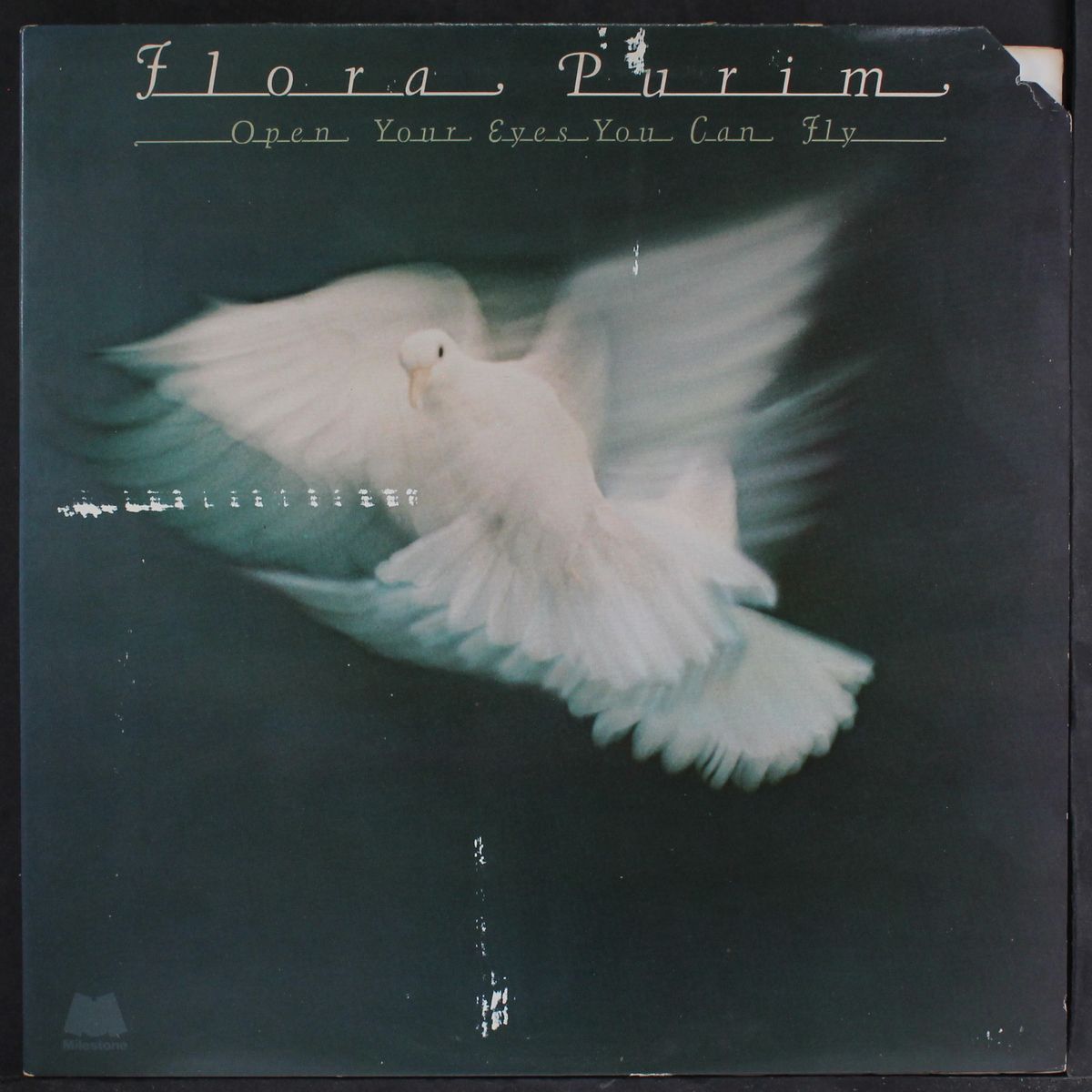 open your eyes you can fly by FLORA PURIM