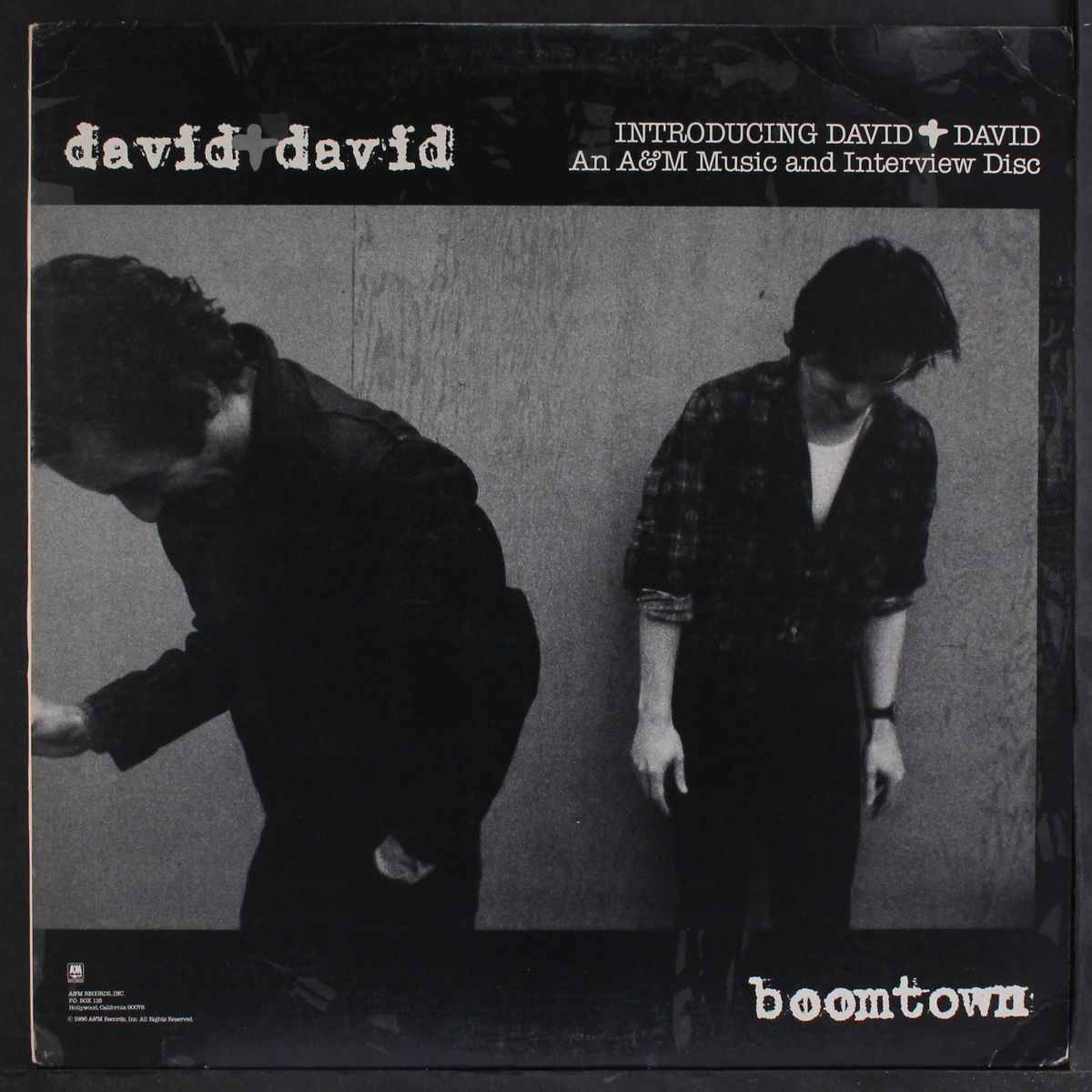 introducing-a&m music + interviews disc by DAVID & DAVID / LOVER SPEAKS