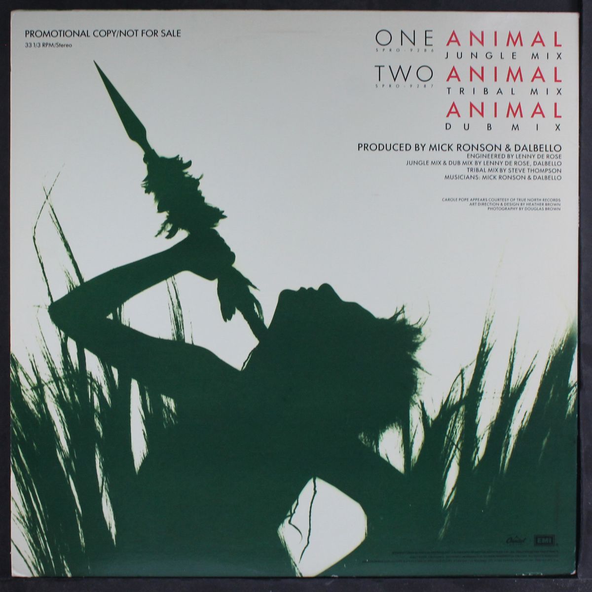 animal by DALBELLO