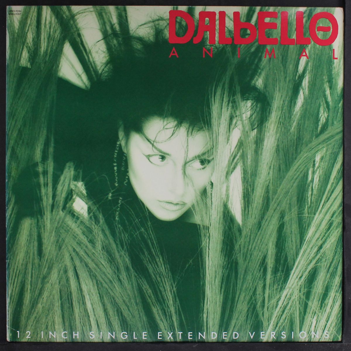 animal by DALBELLO