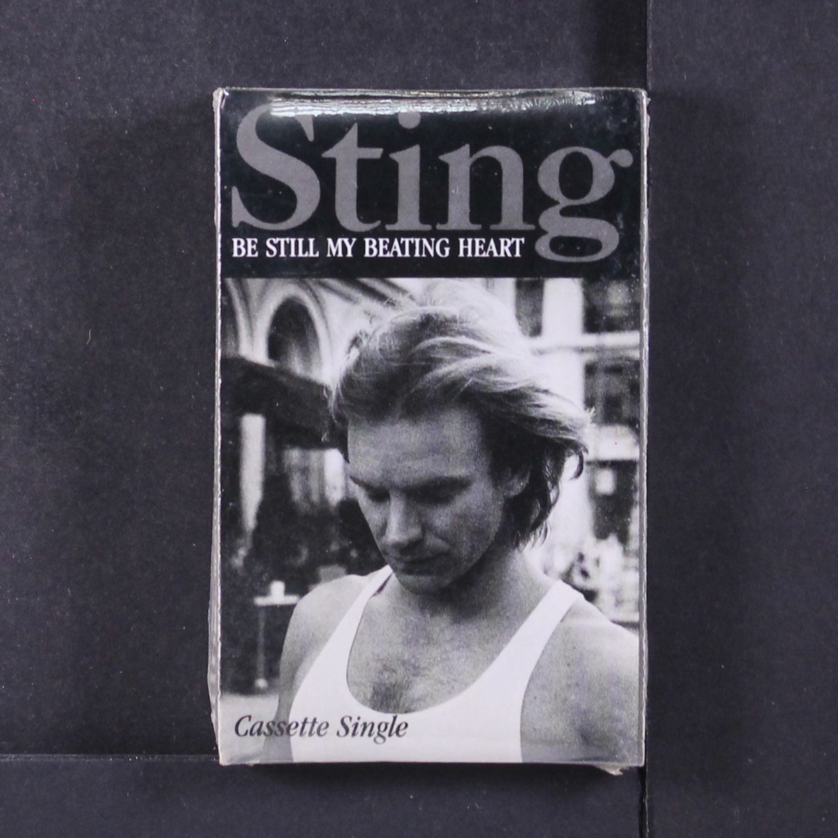 be still my beating heart by STING