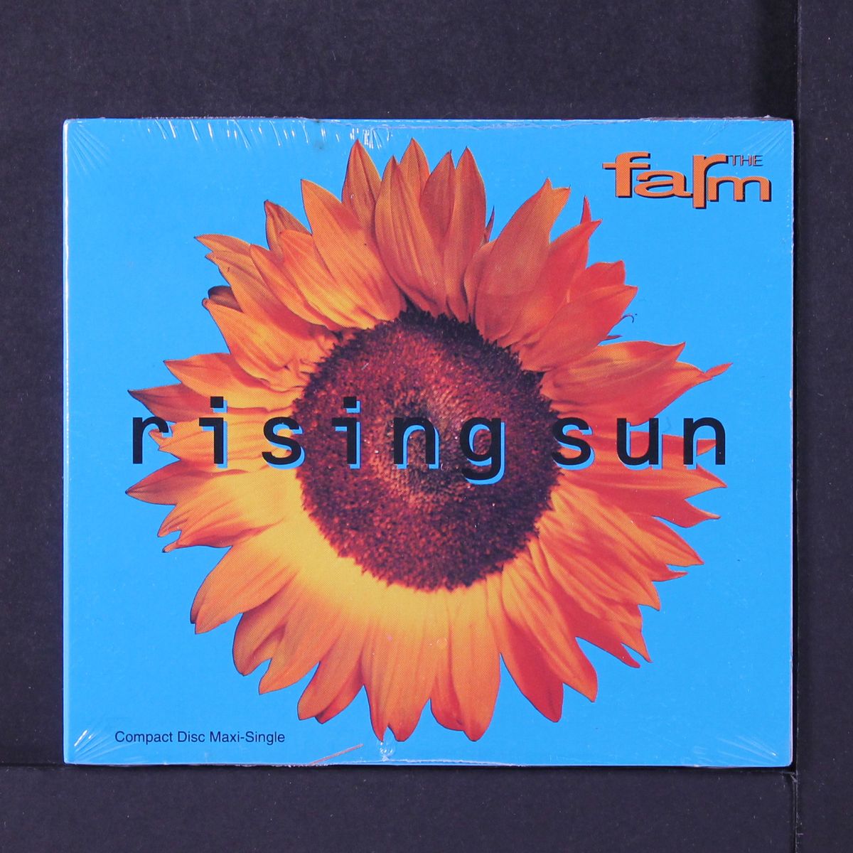 rising sun by FARM