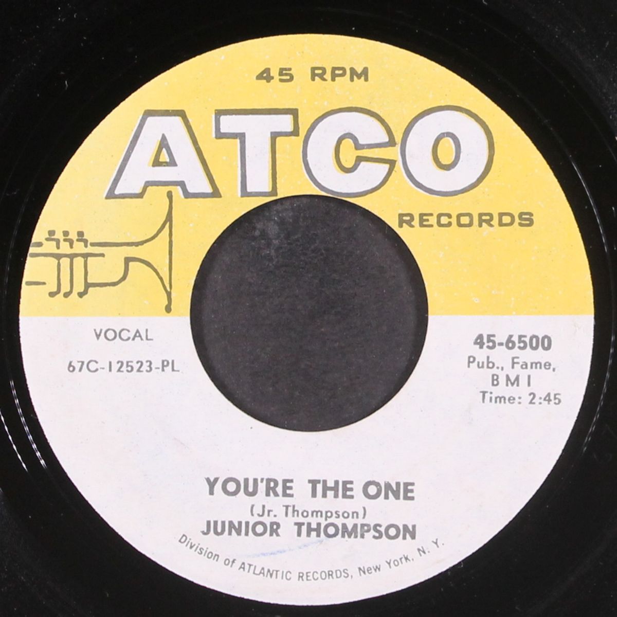 you're the one / jungle girl by JUNIOR THOMPSON