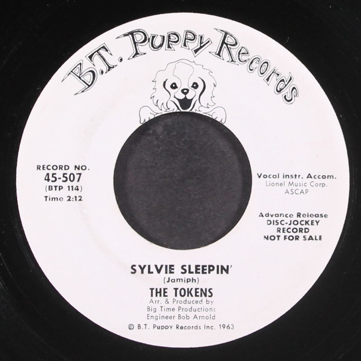 sylvie sleepin' by TOKENS