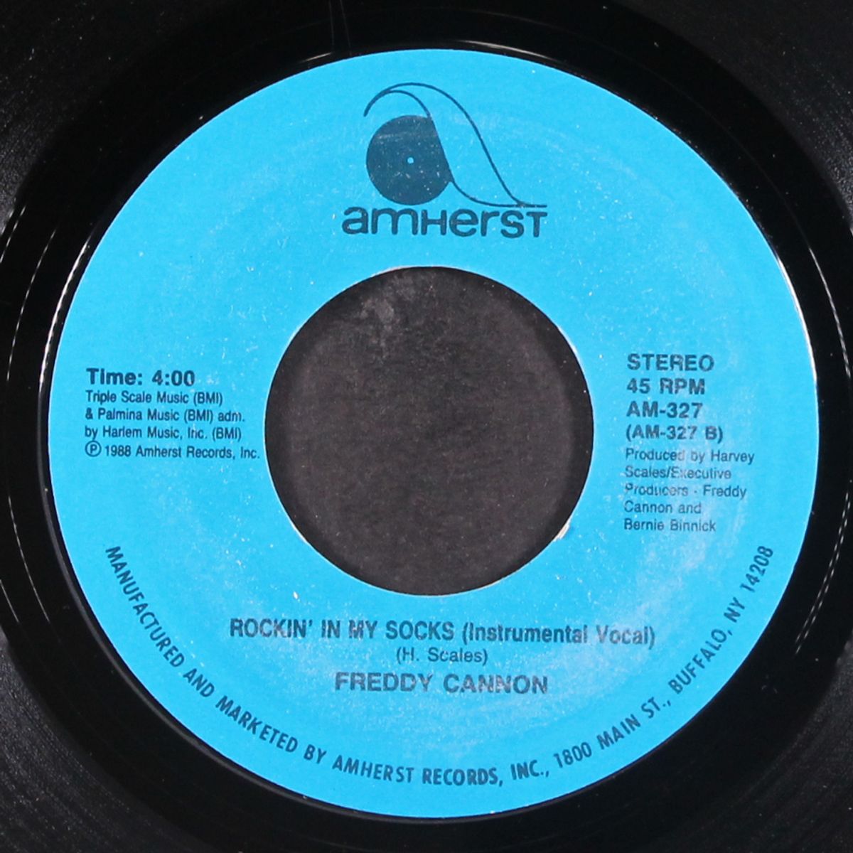 rockin' in my socks by FREDDY CANNON