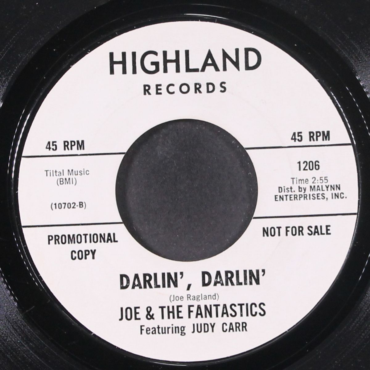 chicken, chicken / darlin', darlin' by JOE & FANTASTICS