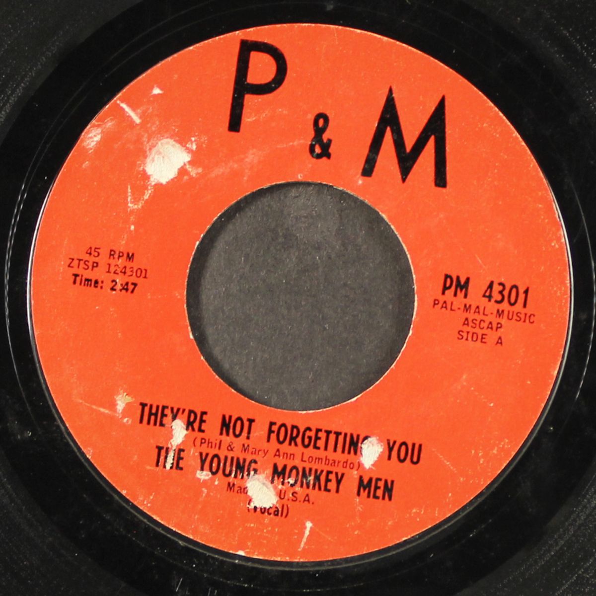 they're not forgetting you / instrumental by YOUNG MONKEY MEN