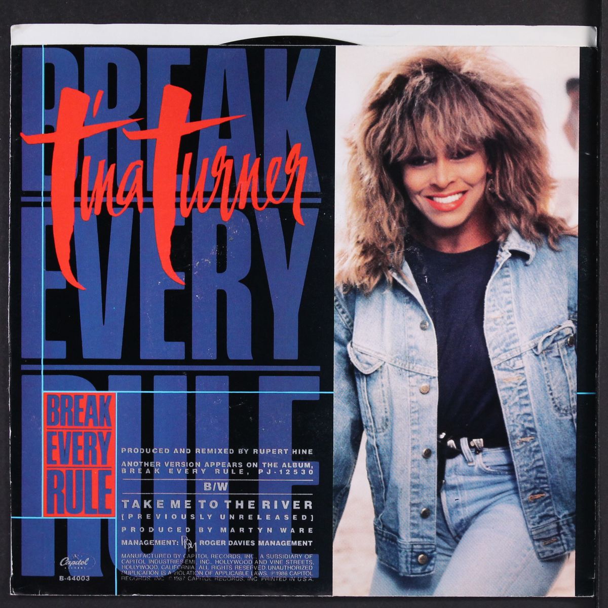 break every rule / take me to the river by TINA TURNER