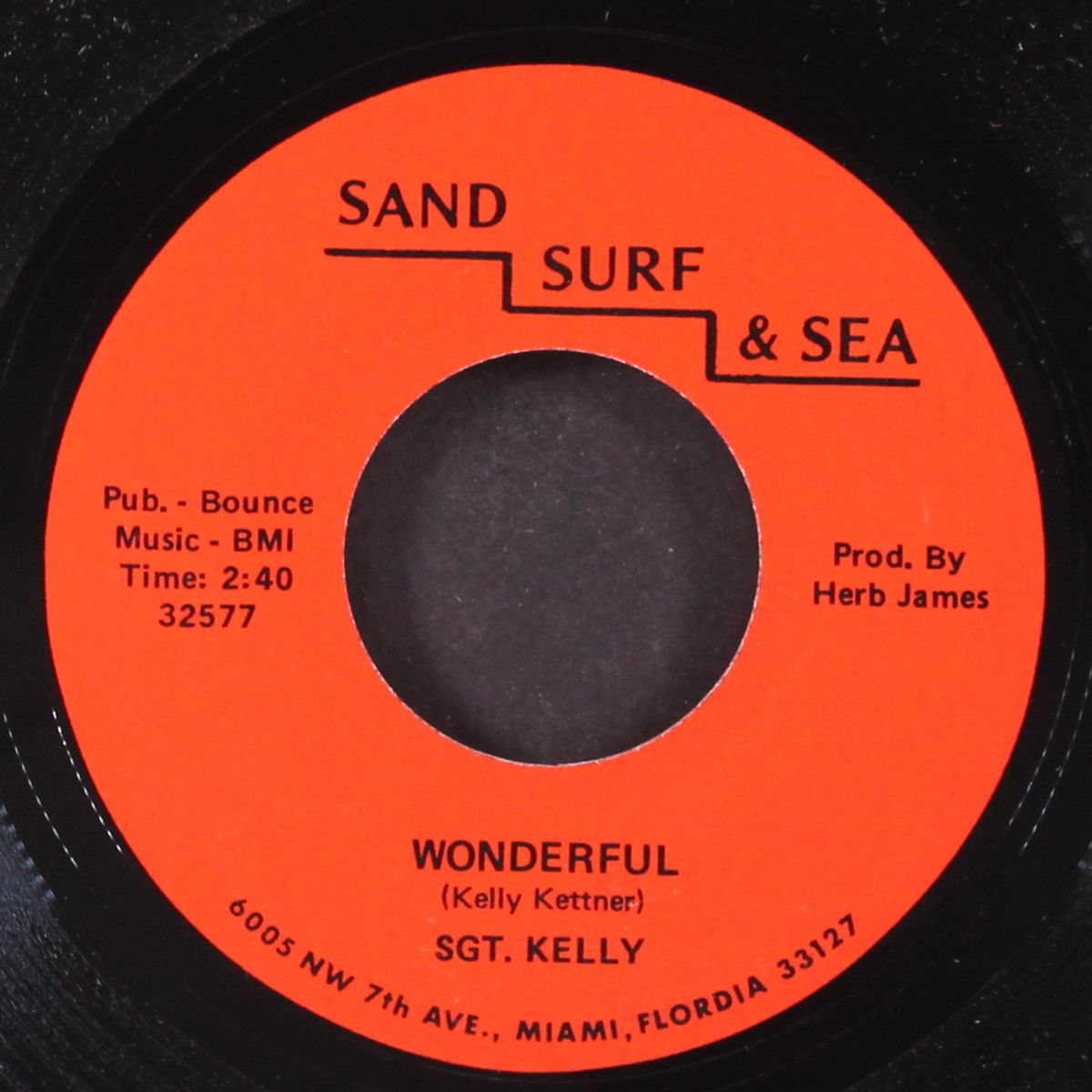wonderful / you made me do it by SGT. KELLY