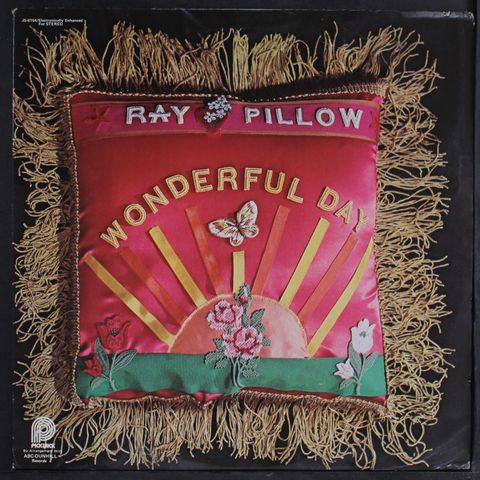RAY PILLOW