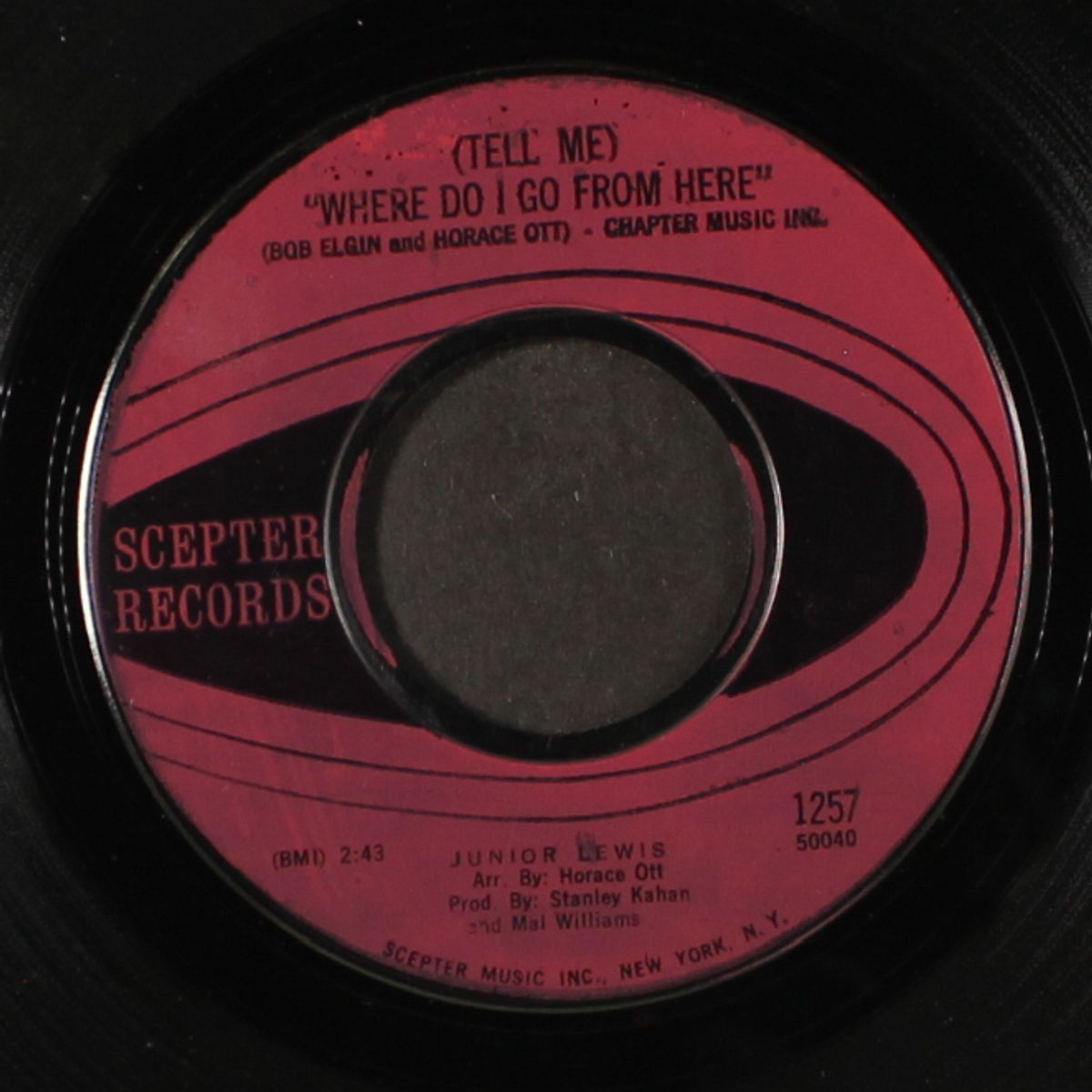 raise your hand / where do i go from here by JUNIOR LEWIS