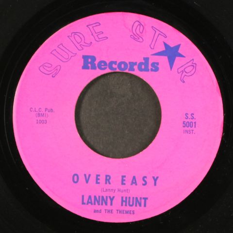 LANNY HUNT & THEMES