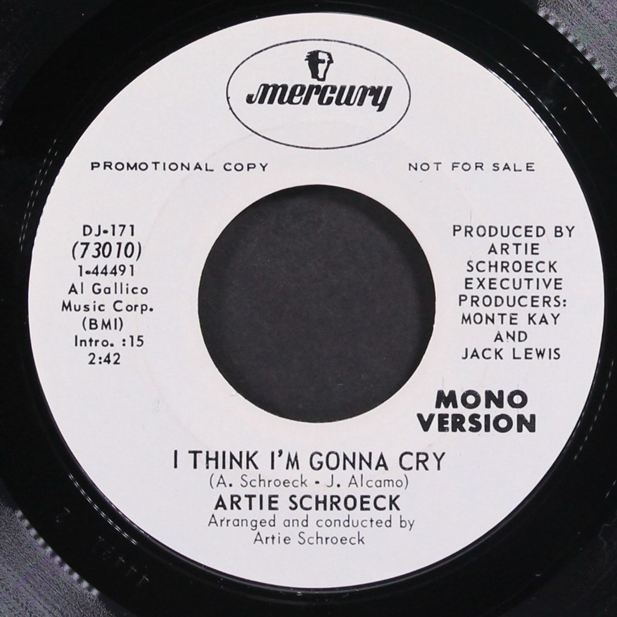 i think i'm gonna cry by ARTIE SCHROECK