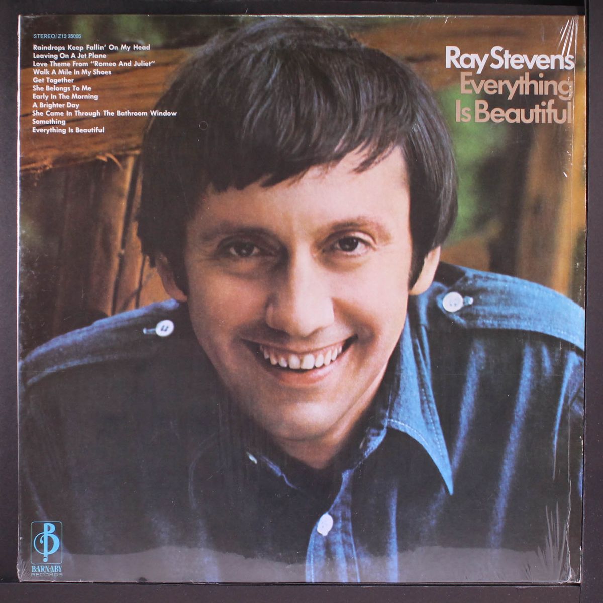 everything is beautiful by RAY STEVENS